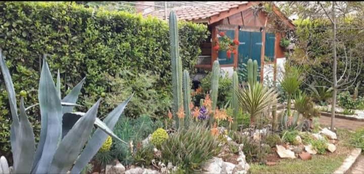 Cactus House Gaspar Zadar Bagian luar foto