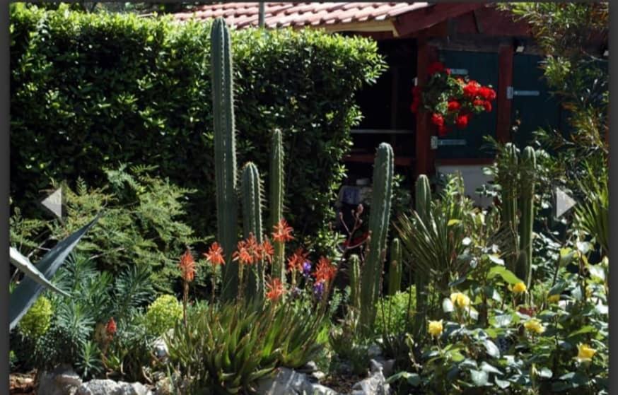 Cactus House Gaspar Zadar Bagian luar foto