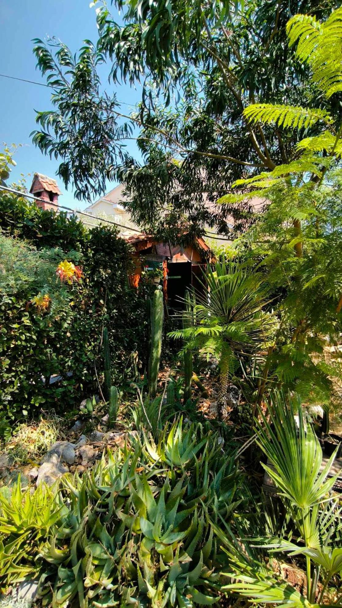 Cactus House Gaspar Zadar Bagian luar foto
